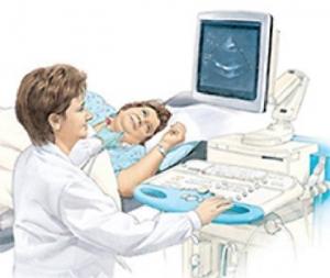 ECHOcardiogram 