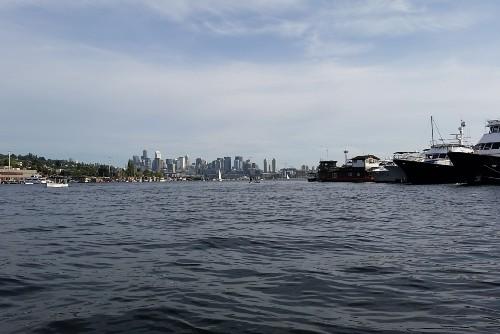 Photo taken by Jennifer Schaefer, Clinical Research Manager, while paddle boarding on Lake Union. 